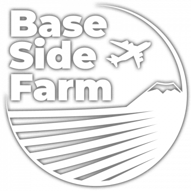 BSF-Site